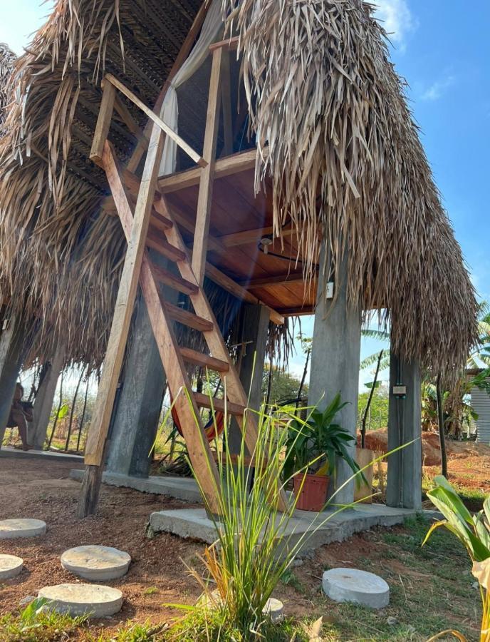 Sasy Tipis Hotel Santa Catalina Exterior photo